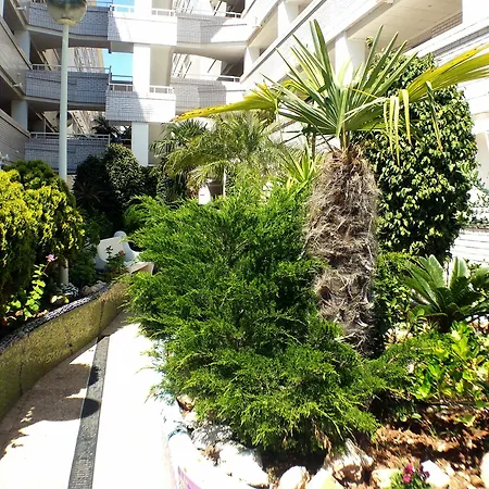 Acv Marina Trebol Iii-2ª Linea Planta 3 Sur *
